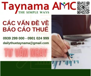 Các vấn đề về báo cáo thuế 2023