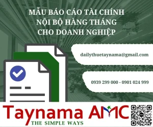Mẫu báo cáo tài chính nội bộ hàng tháng cho doanh nghiệp