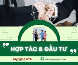 Hợp tác và đầu tư: Cơ hội lớn cho sự phát triển kinh doanh