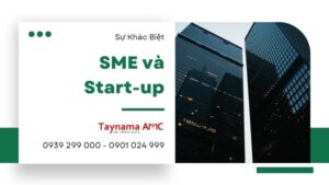 Sự Khác Biệt Rõ Ràng Giữa SME và Start-up: Phân Tích Chi Tiết