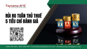 Rủi ro tuân thủ thuế - Đại lý thuế Tây Nam Á