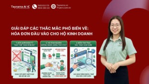 hóa đơn đầu vào