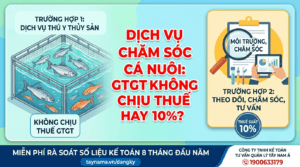 Dịch Vụ Chăm Sóc Sức Khỏe Cá Nuôi: Hướng Dẫn Phân Biệt Thuế GTGT 0%, 5%, 10% Hay Không Chịu Thuế